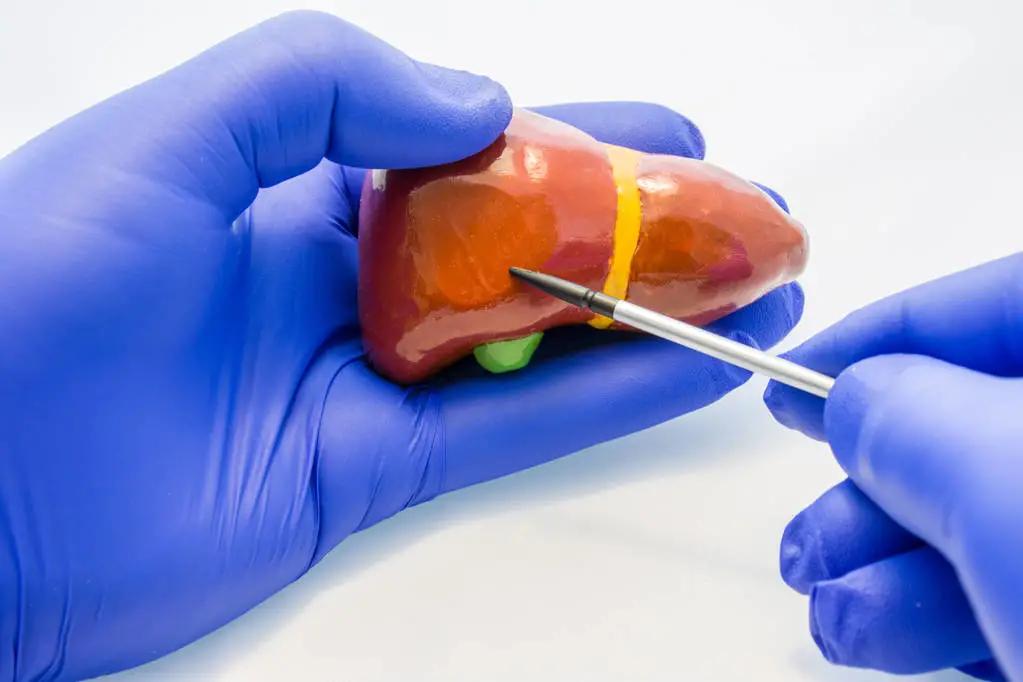 急性胆囊炎超声表现入门教学视频,急性胆囊炎超声诊断怎么写