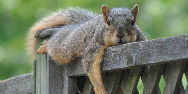 乳房发育该选什么样的胸罩,穿什么样的文胸对乳腺好