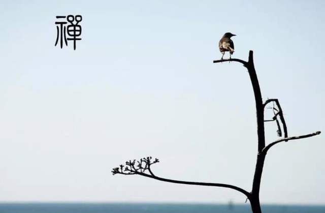 叶圣陶《稻草人》故事全文,叶圣陶笔下的稻草人