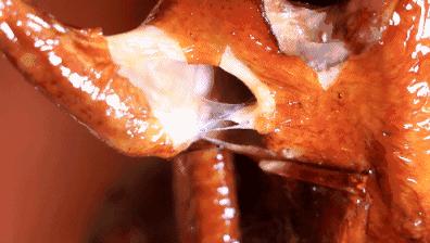 乳鸽红烧多少钱一只,一只正宗的红烧乳鸽是怎么样的