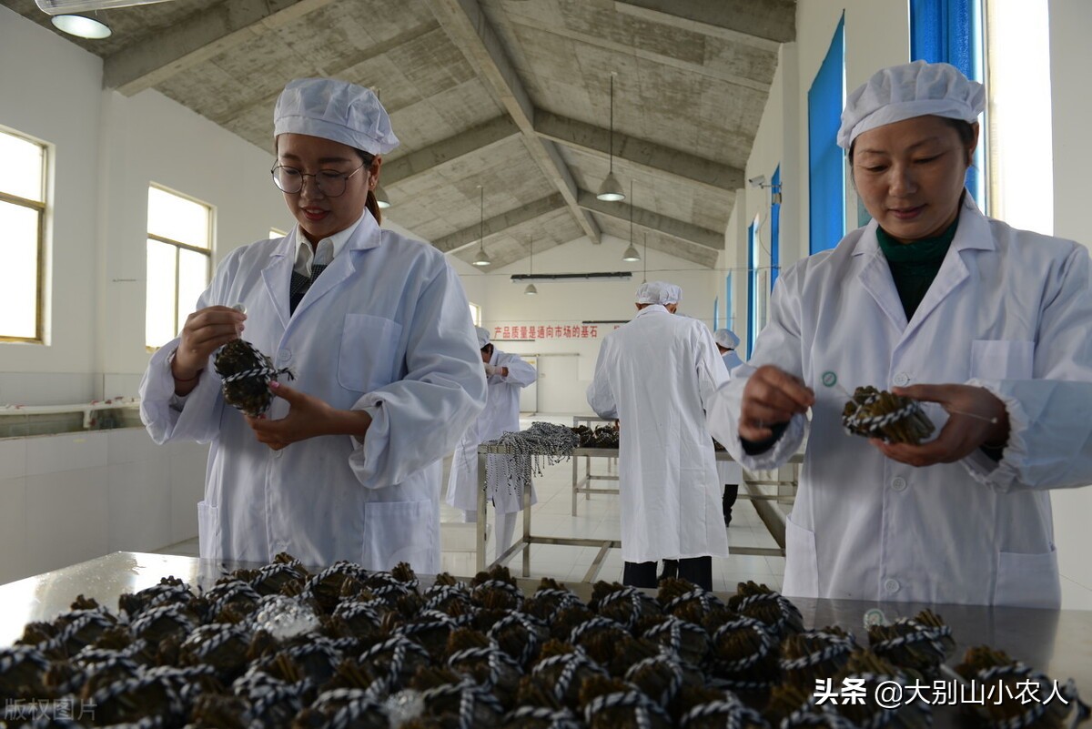 阳澄湖大闸蟹金字招牌,疯狂大闸蟹