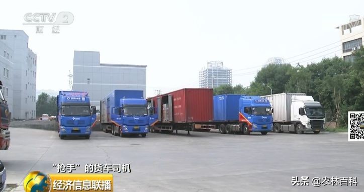 高薪招聘货车司机月入过万,缺个司机月薪50万