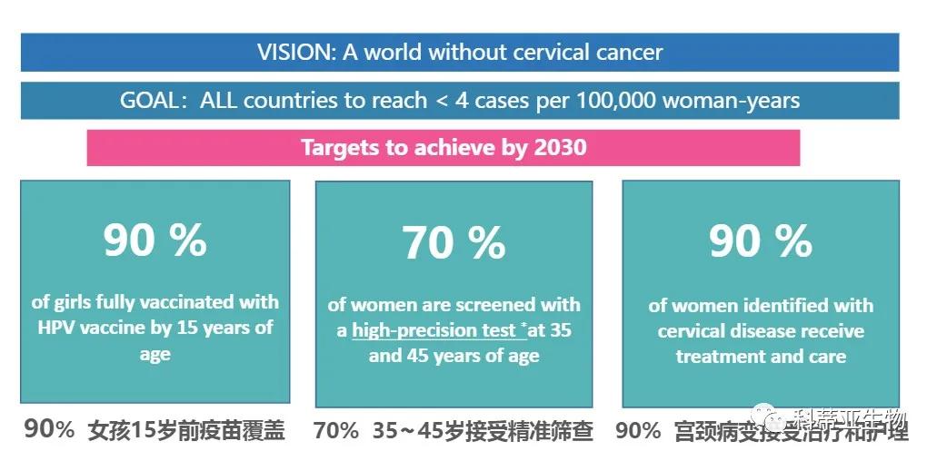 国际hpv视频,国际hpv最新信息