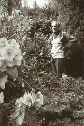 婚礼中用错香水是我这辈子最后悔的事