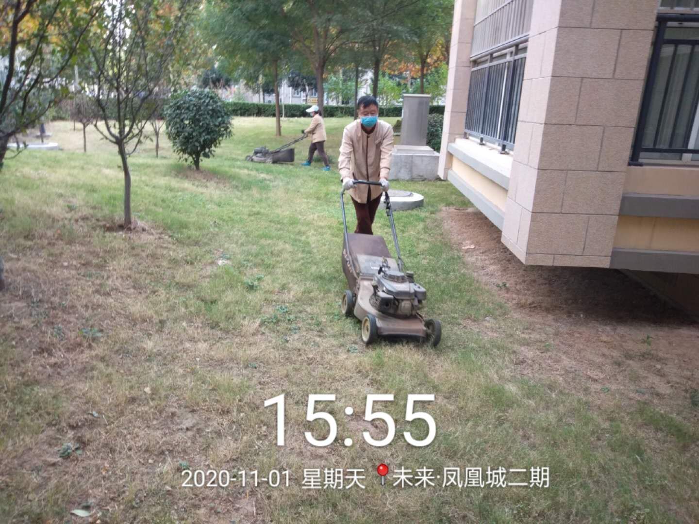 凤凰城二期物业管理,凤凰城物业现状