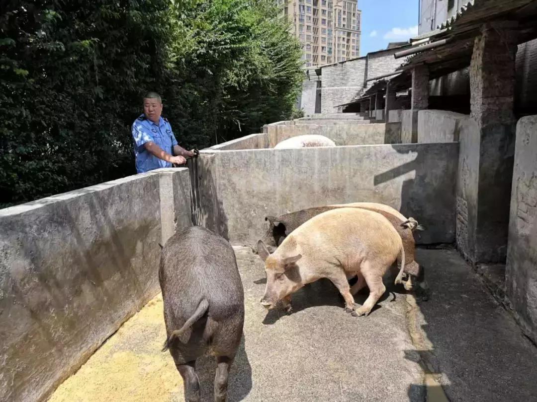 中国青年报张启明,人民网评价张启明