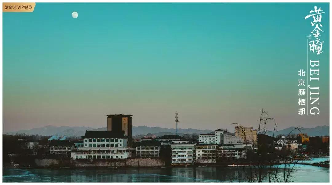 品味十级的《黄金瞳》,我先“盘”为敬!