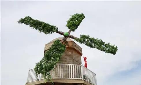 陈文令麦道夫最新信息 (陈文令对麦道夫的评价)