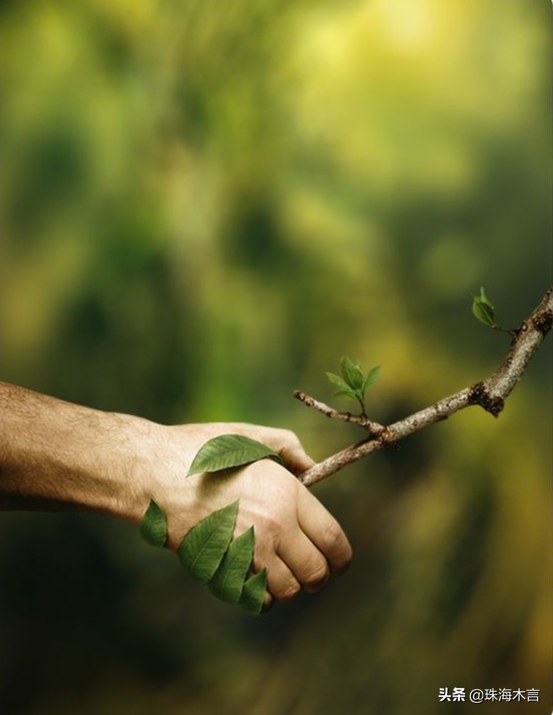 实木全屋定制的两大误区,珠海木饰面全屋定制