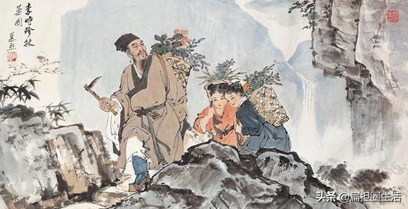 探访李时珍的医学智慧与传世经典,李时珍神医传奇给我们的启发