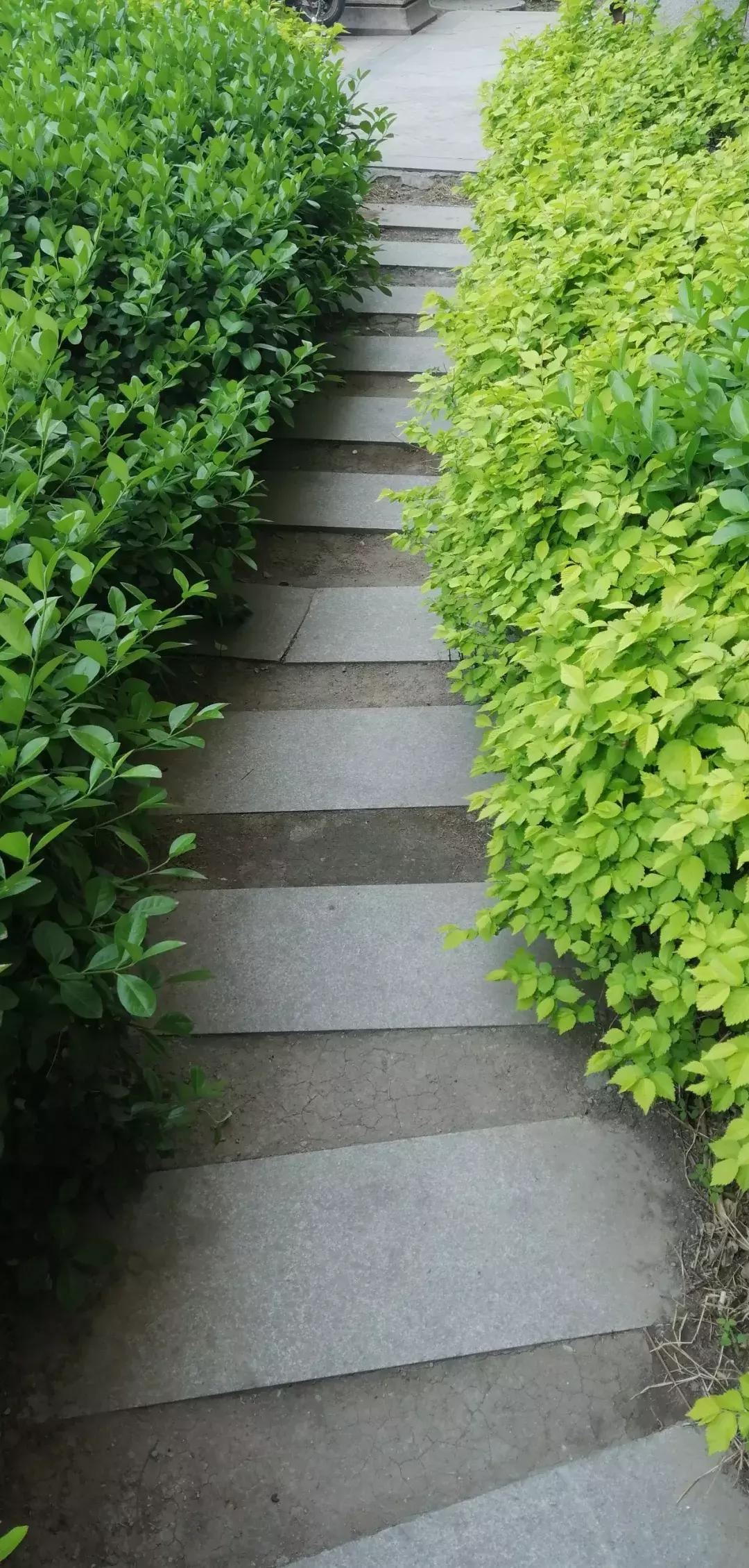 武清低总价优质小区,武清不值得买的小区排名