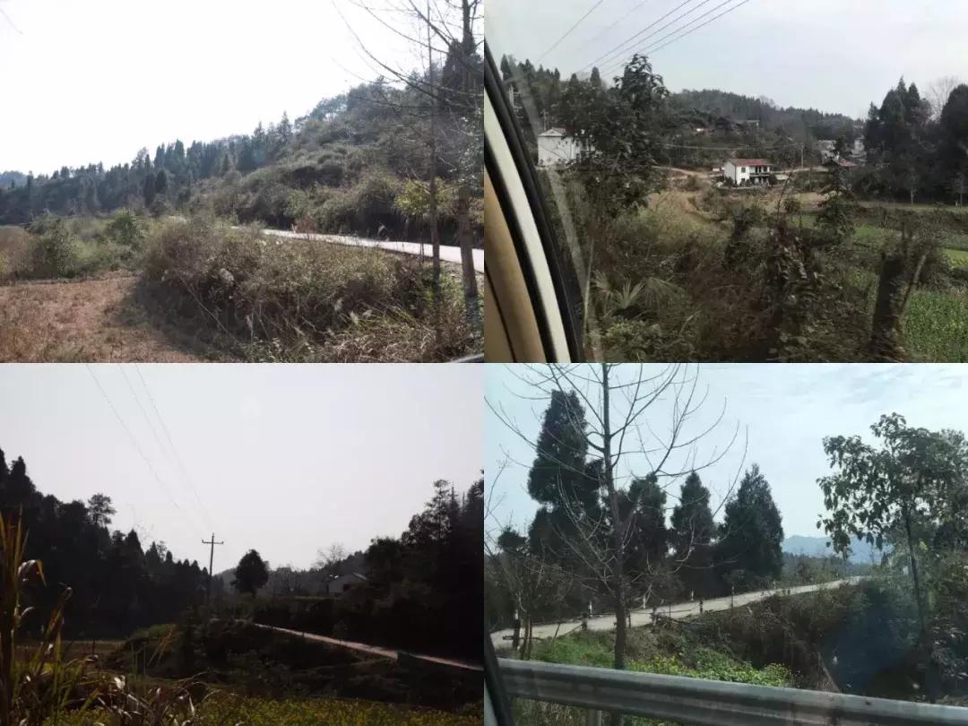 十年树木百年树人丨abc360学员献爱心，让大山里的孩子背上新书包