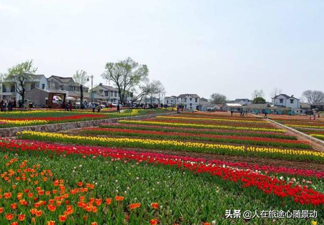 南京江宁乡村游有哪些景点,江宁清静小众景点