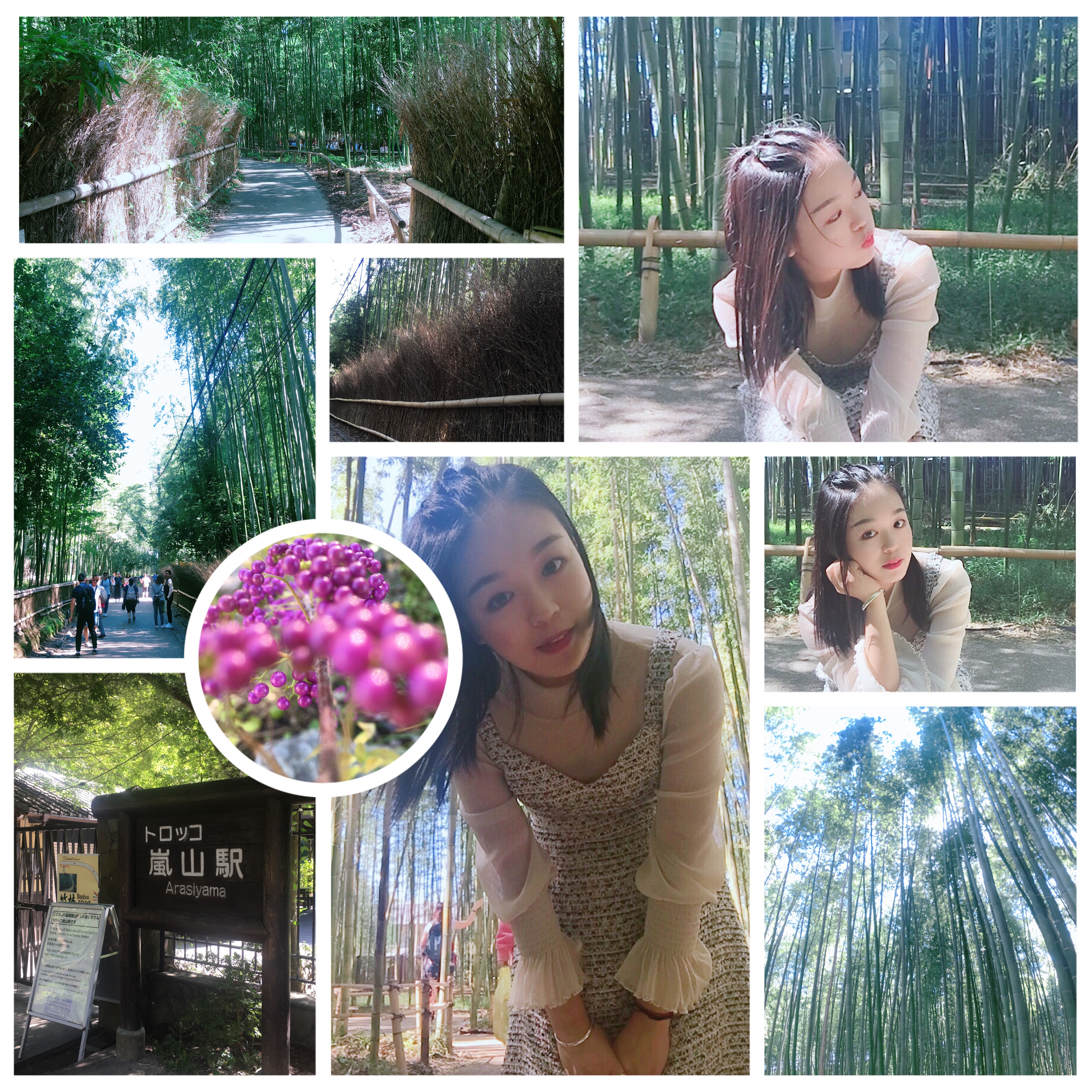 京都之旅探寻古都的魅力与美景,日本旅游东京京都霓虹初见