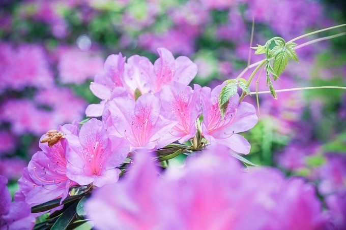 长沙三天两夜吃喝玩乐,长沙三天两晚自由行攻略酒店
