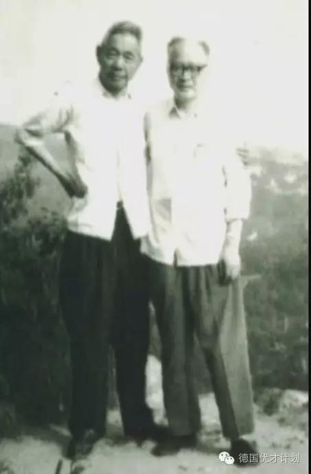 这次损失巨大!背后真相让人痛心不已..........