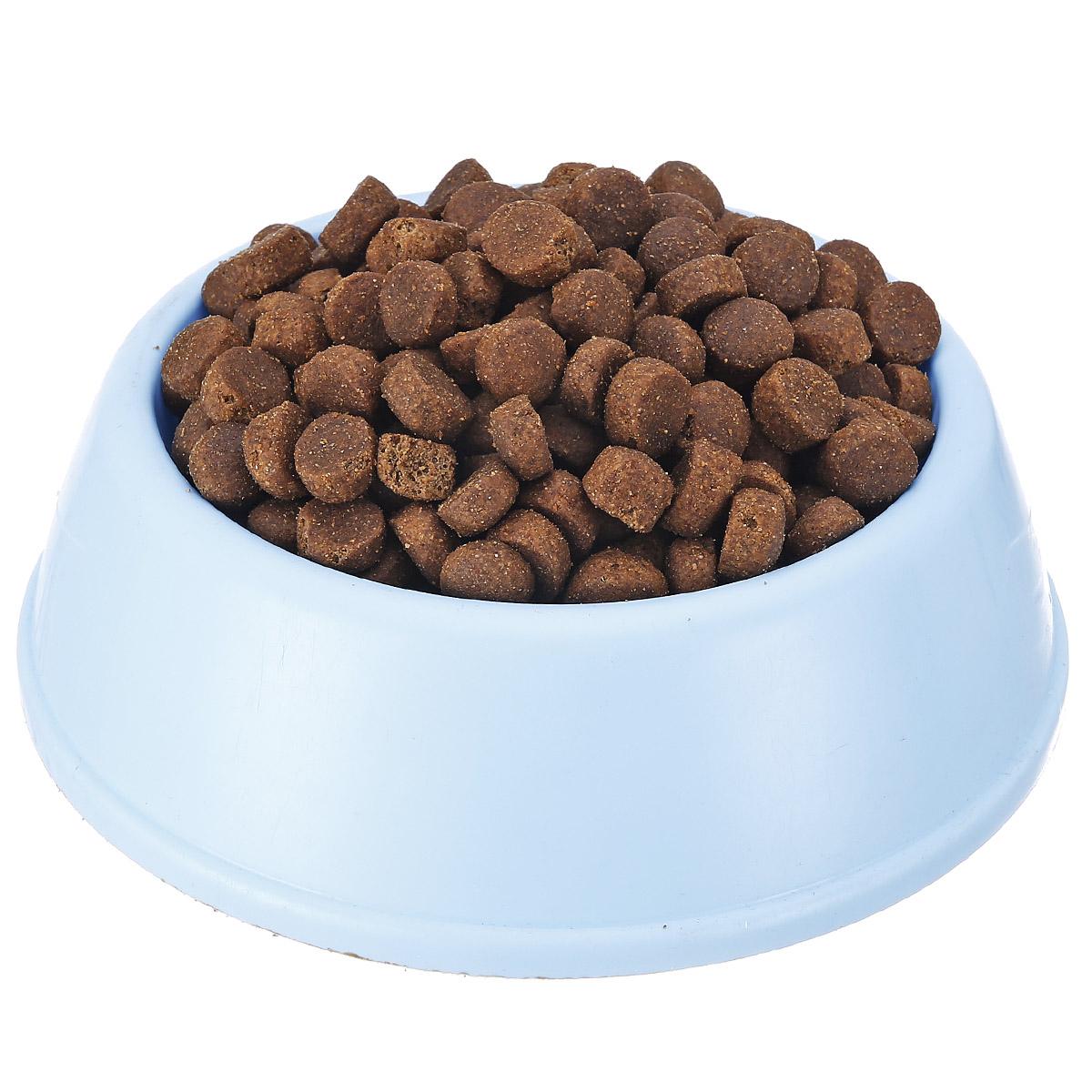 金毛犬专用冻干狗粮,金毛犬狗粮有推荐吗