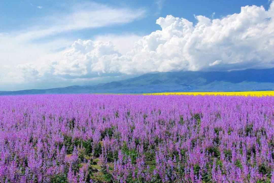 今年夏天的旅行计划,2022旅行愿望清单