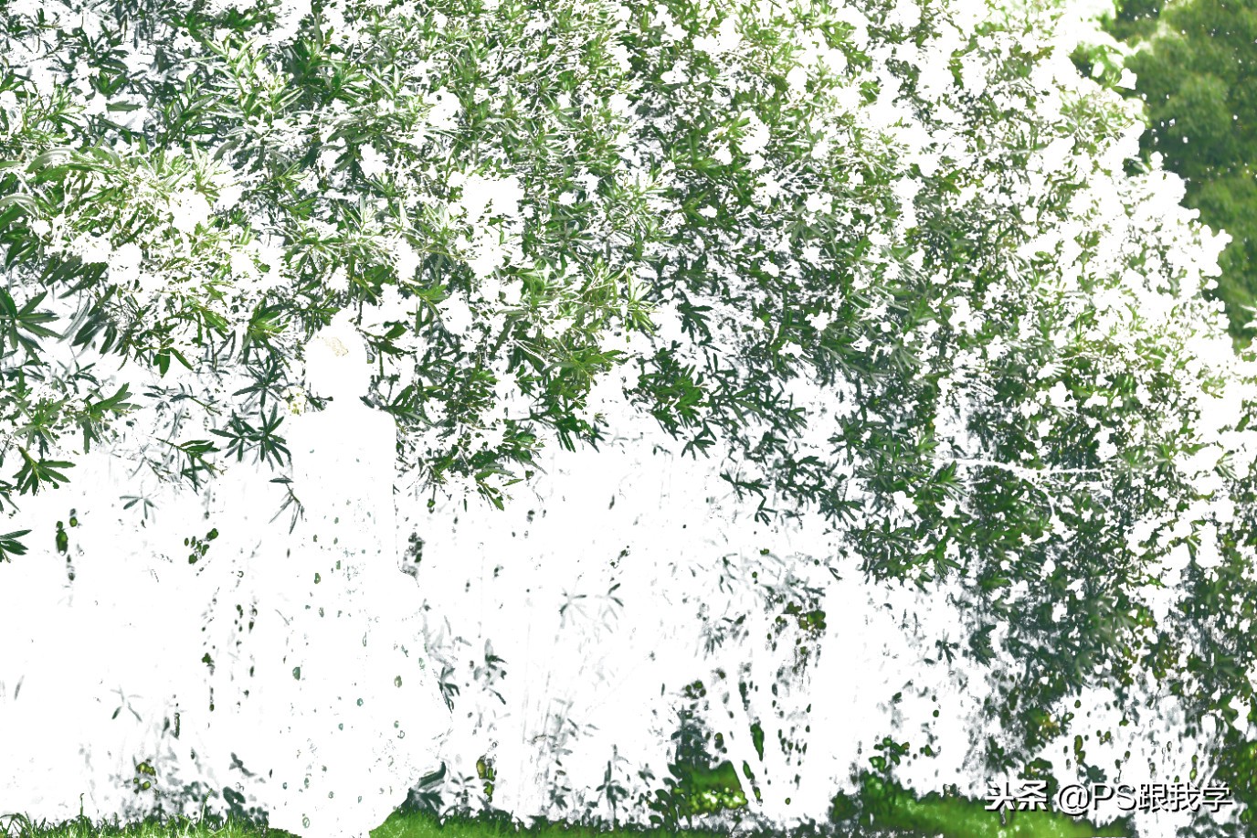 photoshop中进入快速蒙版,ps终极技巧如何使用快速蒙版工具