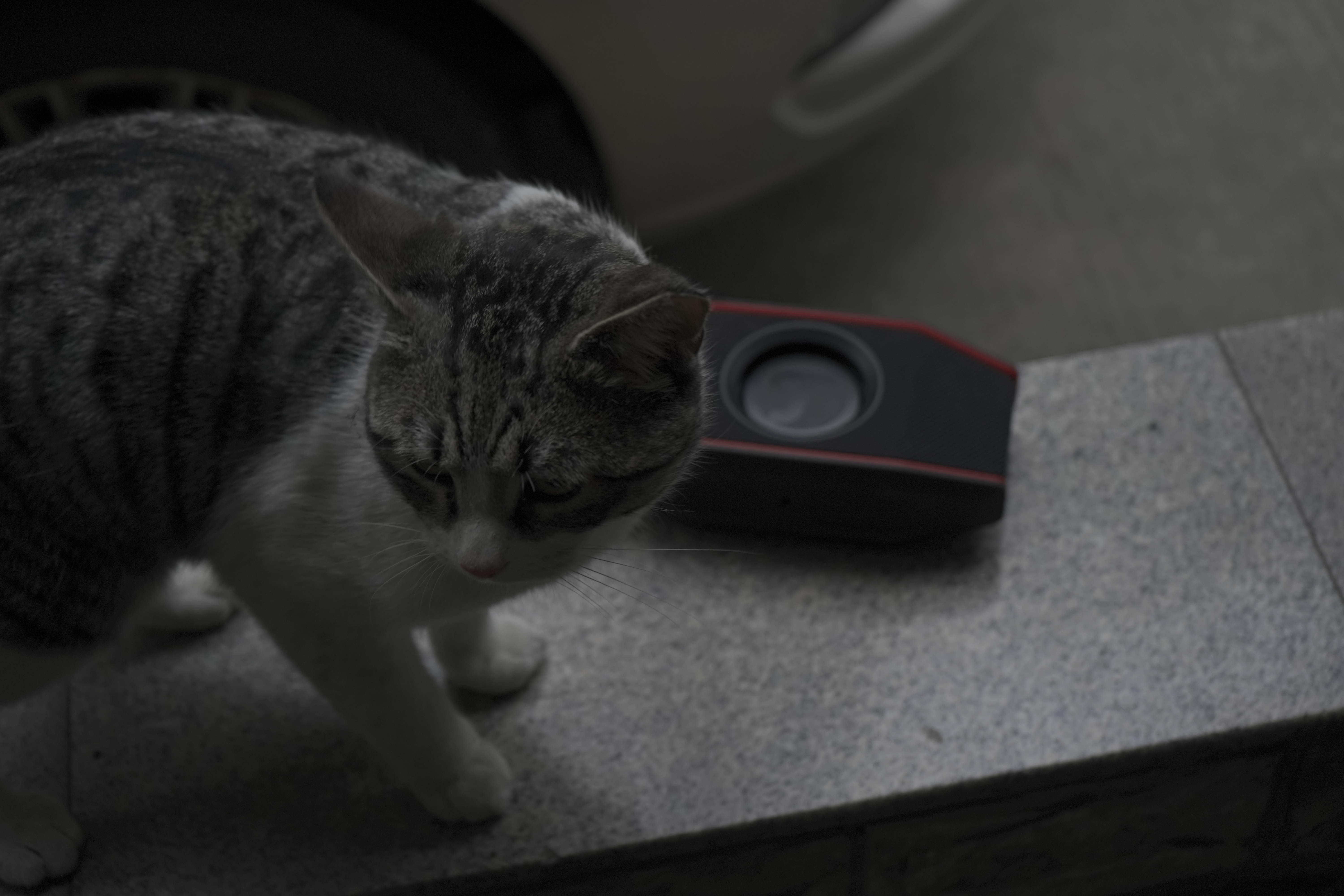 德国teufel蓝牙音响,teufel蓝牙音箱测评