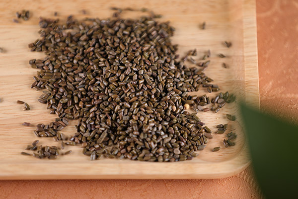 黑茶和决明子一起喝的功效与作用,山楂决明子茶的功效与作用及禁忌