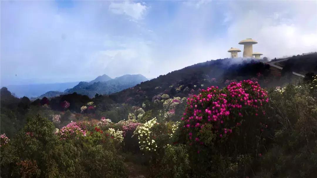 曲靖的一个小县城,县名是人名,乃是帝师故里楹联之乡