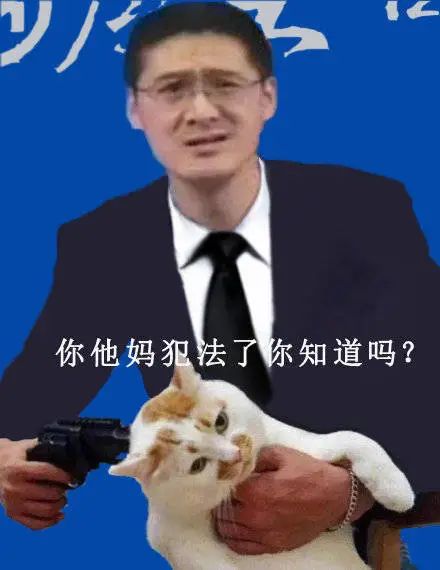 陈鹤皋疯狗拳自由搏击,陈鹤皋疯狗拳宗师