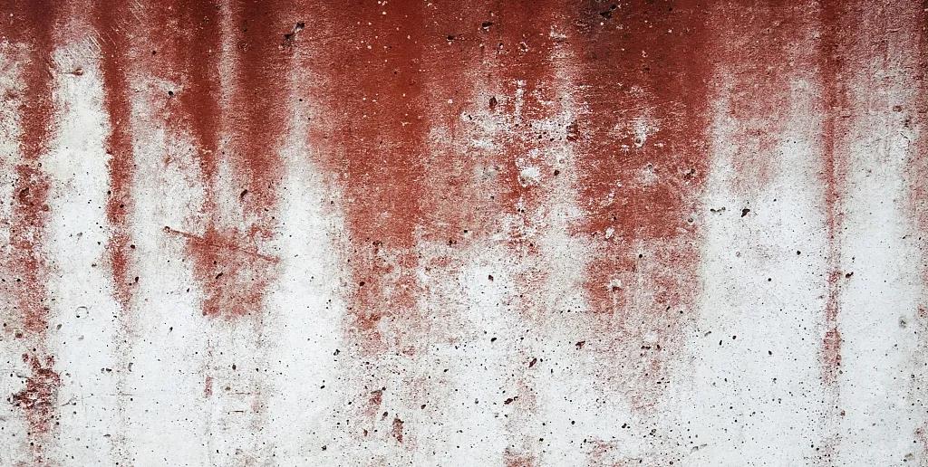 2019年埃博拉病毒致死,埃博拉病毒最短死亡时间