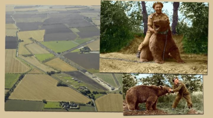 最骚士兵熊：抽烟喝酒花钱，样样在行，还是个战斗英“熊”