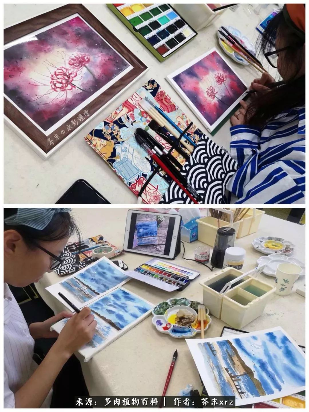 那个爱画多肉的小姑娘带着她的心头肉又来啦！