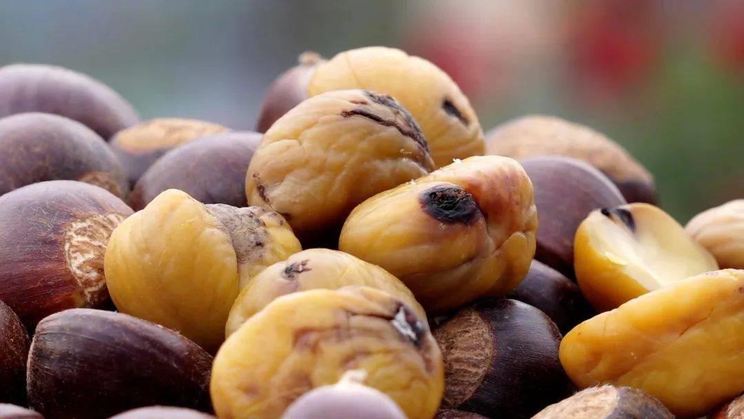 綦振森本是个清洁工，却转行卖起了糖炒栗子，销售额突破四千万