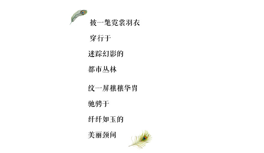 我的传家宝视频大全,我的传家宝我做主