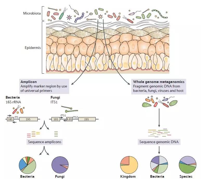 青春期长痘有必要涂药膏吗,青春期长痘可以涂药膏吗