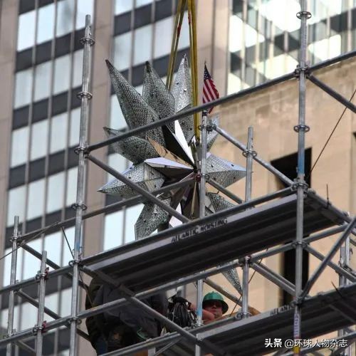 施华洛世奇水晶黑天鹅,黑天鹅断翅