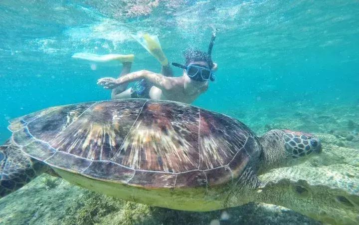 比马尔代夫更美的国家,比马尔代夫还美丽