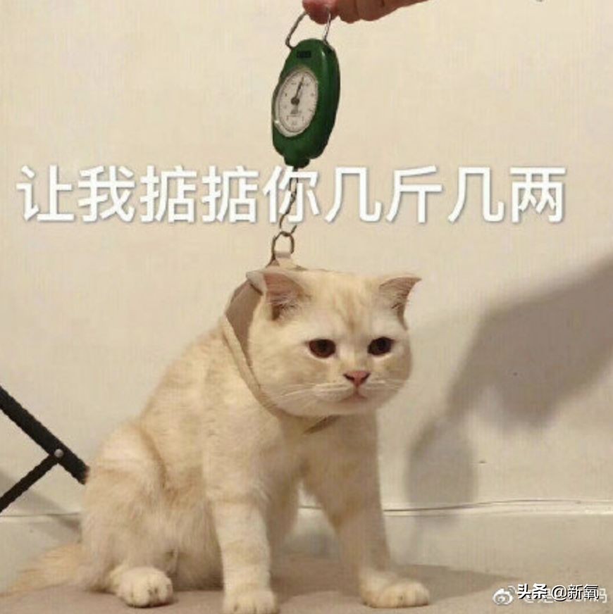 张柏芝最崩溃的时刻,张柏芝连续16天没醒