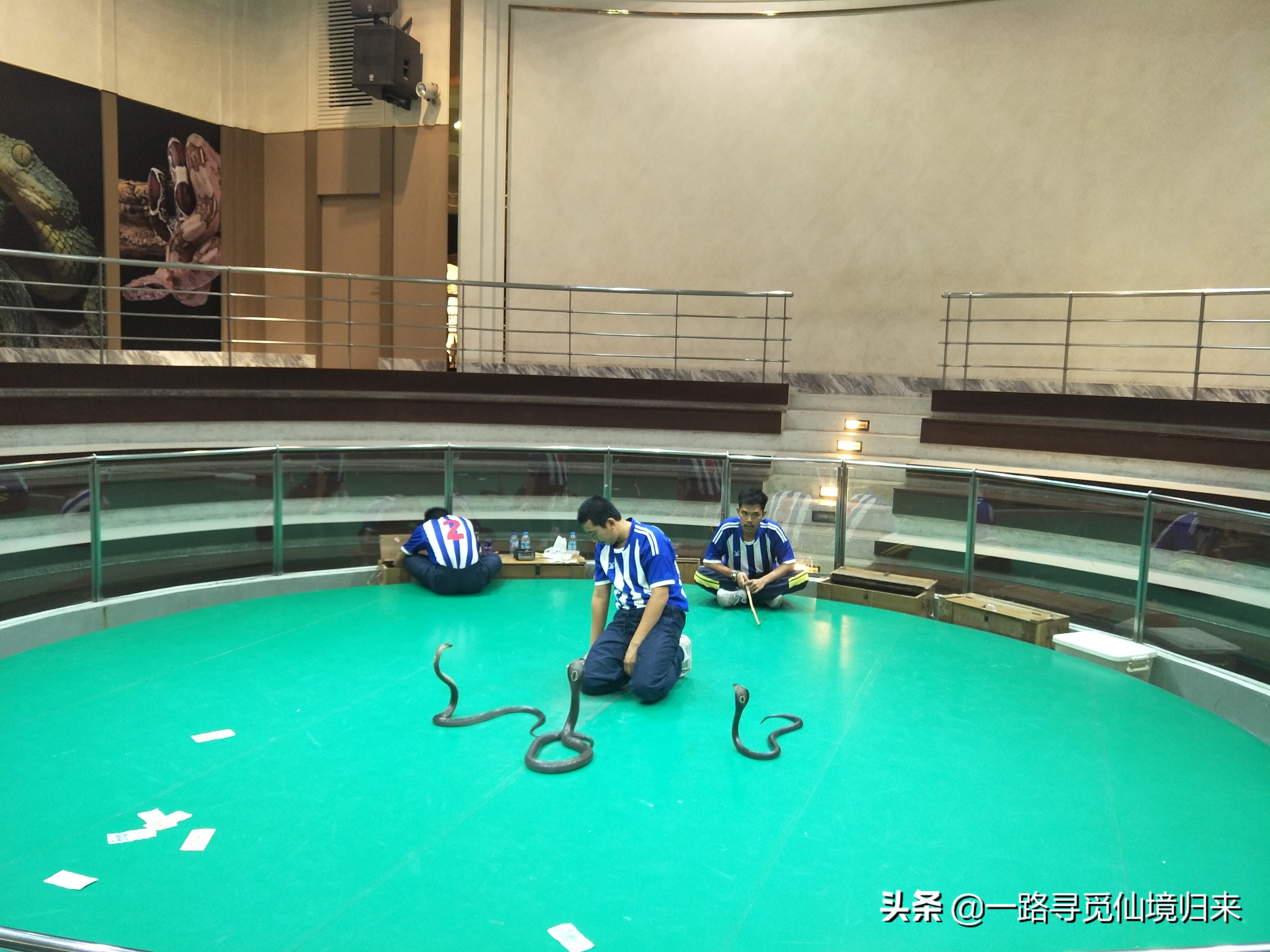 刷哇滴卡，任性！用完泰铢，只剩下钢镚了，回家