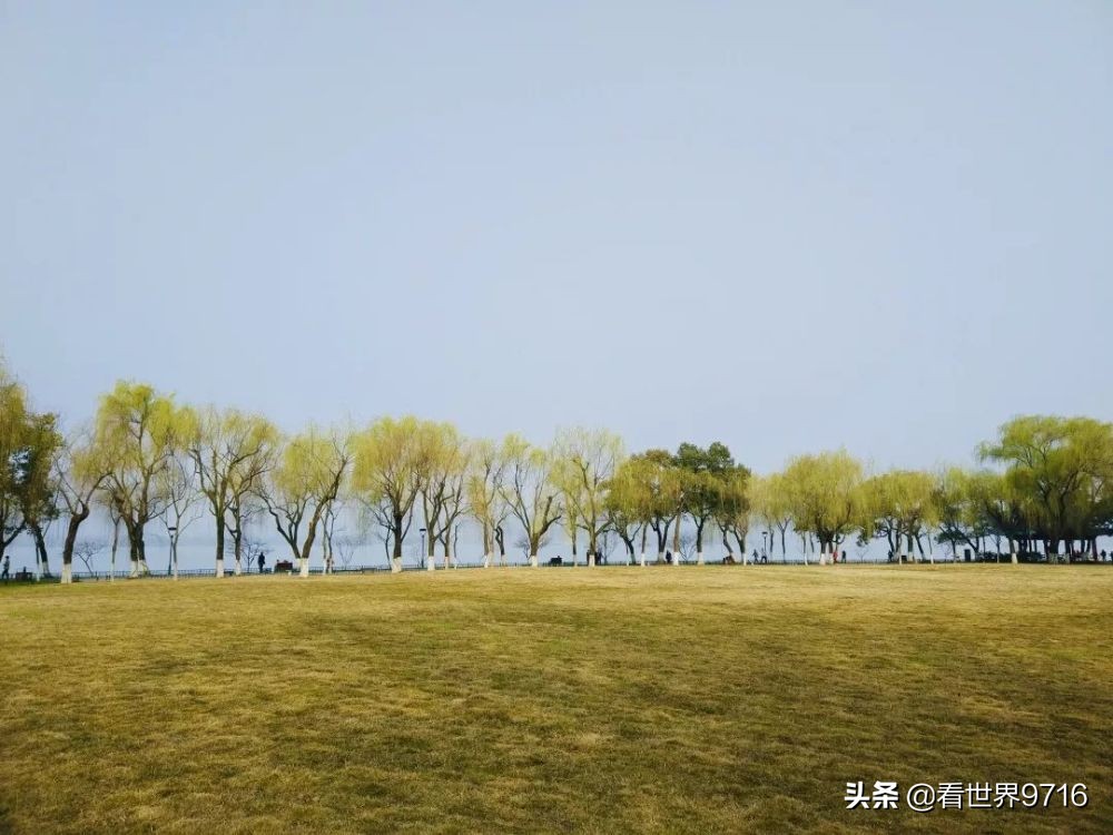 杭州西湖柳浪闻莺图片,杭州西湖风景名胜区柳浪闻莺