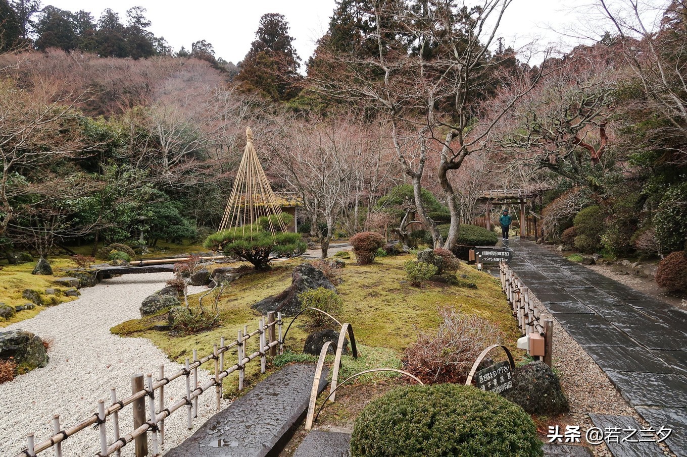 去日本仙台的攻略,日本仙台县旅游详细攻略