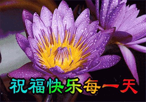 舒展快乐的笑脸,舒展美丽的笑脸拥抱快乐的一天