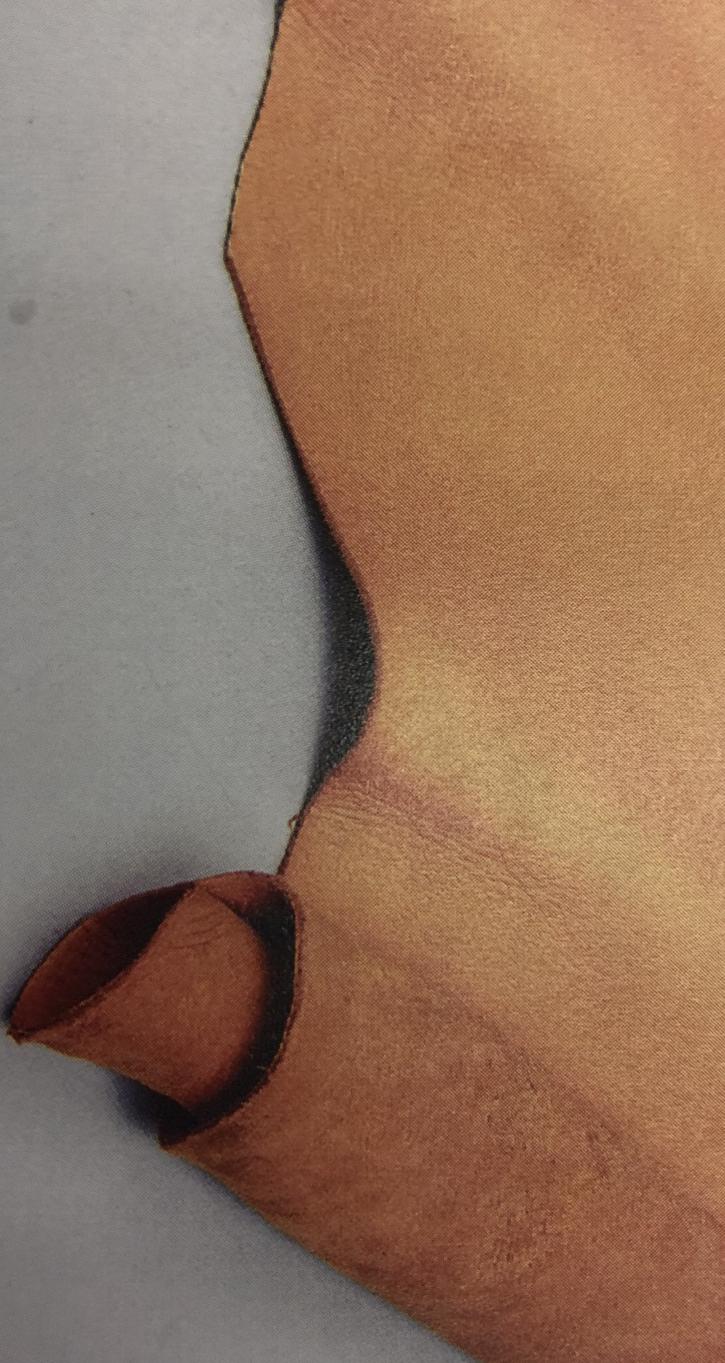 皮具知识书本,皮具专业知识