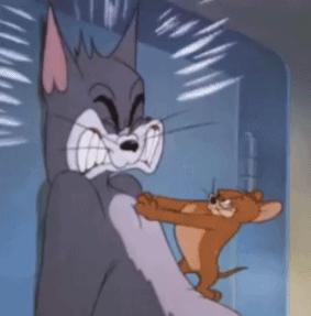 公司买了一只猫和一只狗，财务要怎么入账？在线等，挺急的