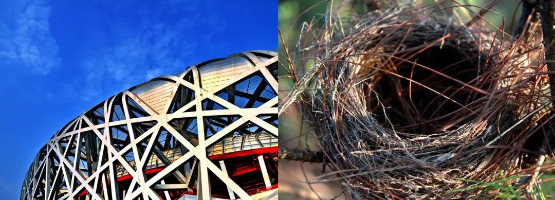 日本发明黑科技坐垫,日本顶级黑科技座垫