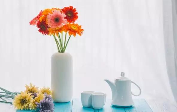 书桌植物摆放风水禁忌,千万不要在家里摆放这些植物