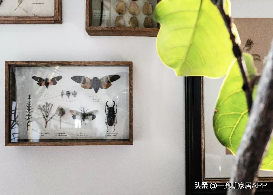 黑色直纹橱柜装修效果图,入门玄关橱柜效果图