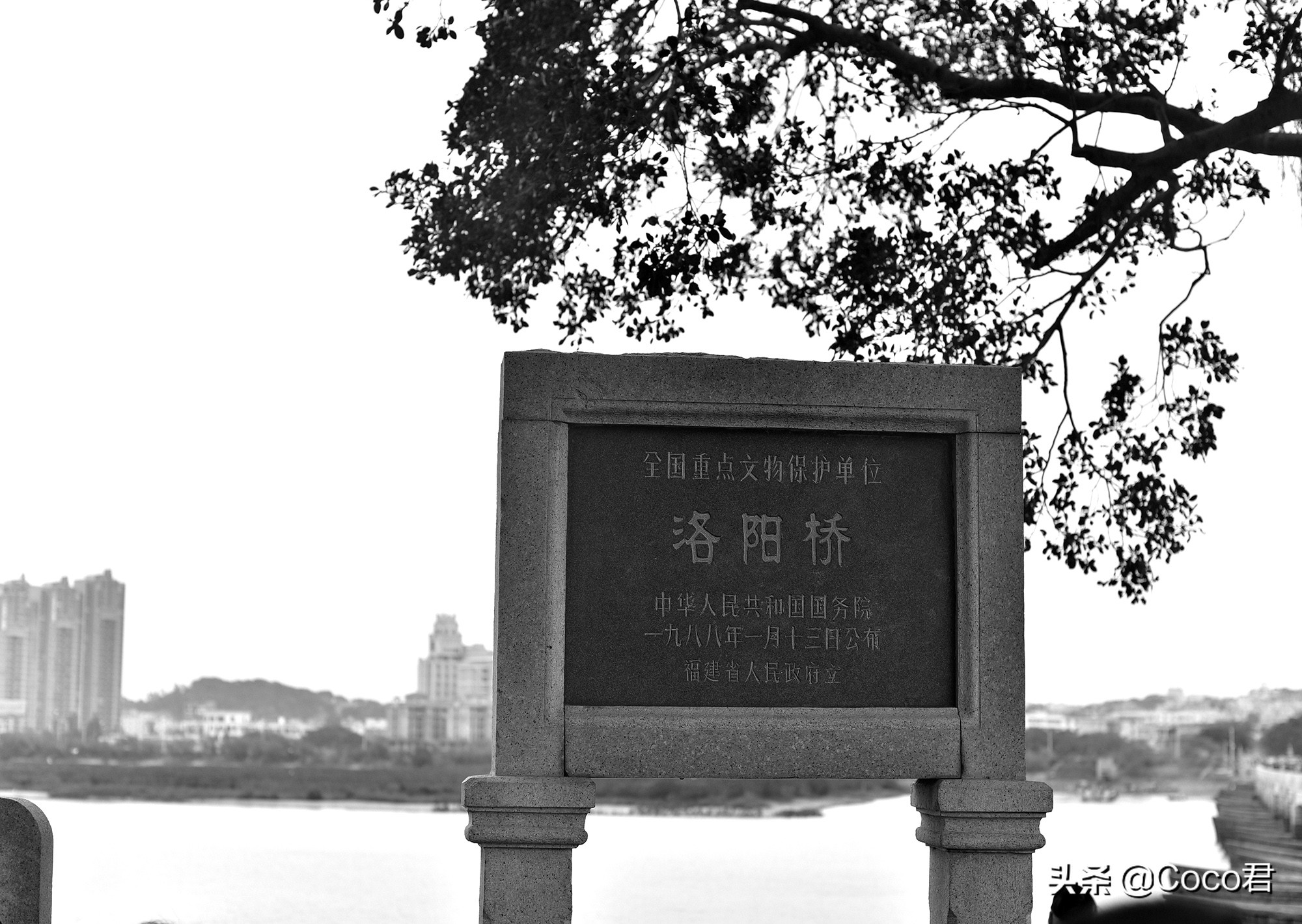 洛阳桥跟赵州桥有什么相同点,赵州桥和洛阳桥哪个历史更悠久