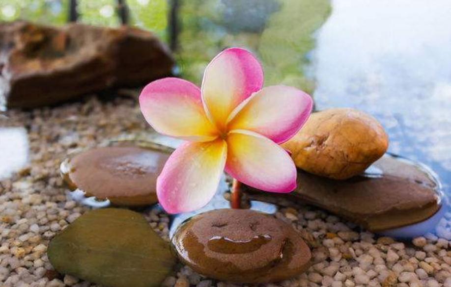 6涓緛鍏嗚鏄庢湁浜烘帓鎸や綘,鏈嬪弸鎯虫妸浣犺涪鍑哄湀瀛愮殑琛ㄧ幇