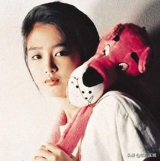 刘德华老婆,刘德华情史分析