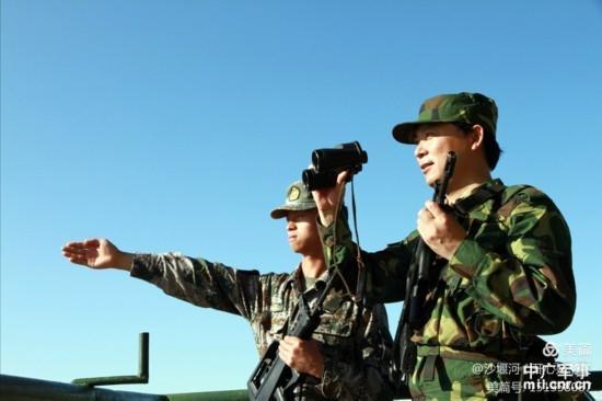 白杨树全文朗读合拍,白杨树文章阅读