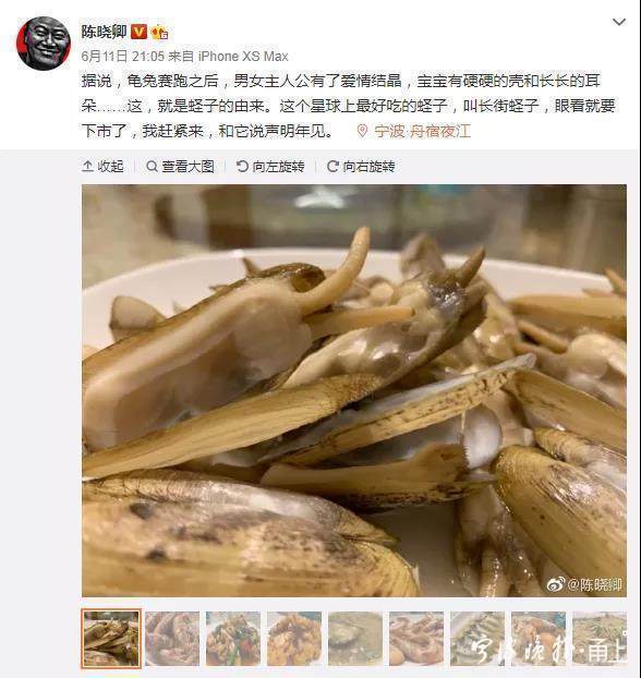陈晓卿深夜造访宁波，来跟这种小海鲜说再见！传说它是龟兔赛跑后的爱情结晶……
